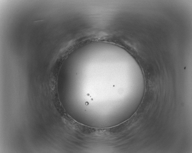 X0000064051447200602031611