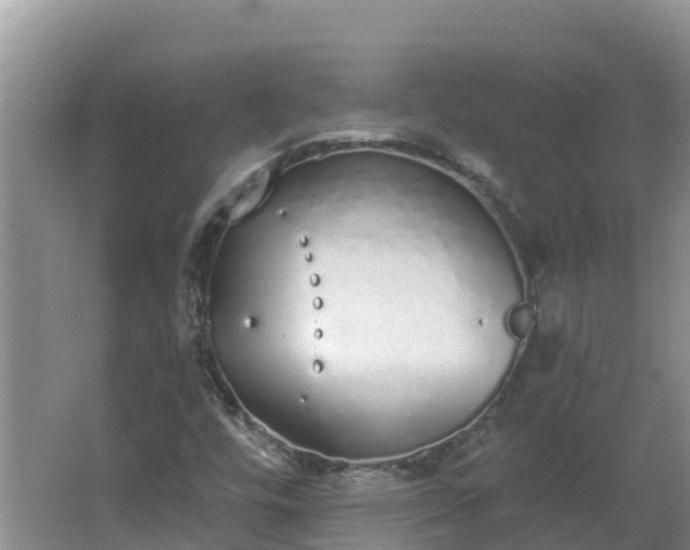 X0000064051448200602031611