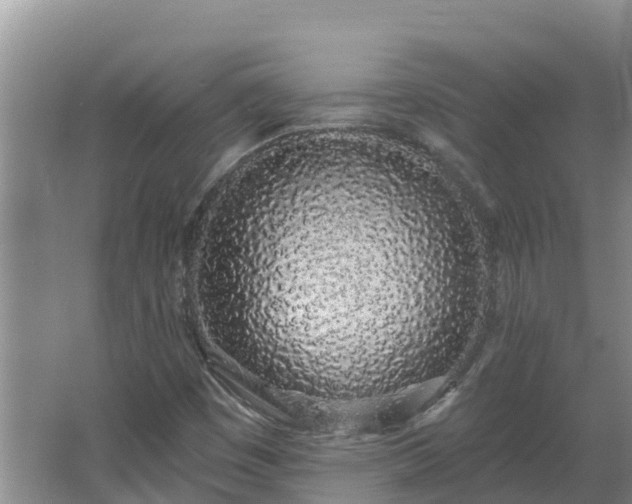 X0000064051449200602031611