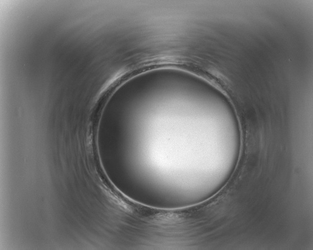 X0000064051450200602031611