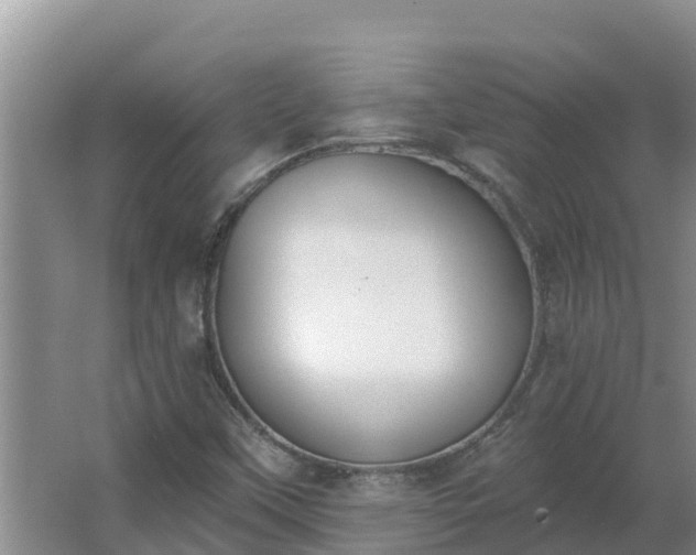 X0000064051451200602031611