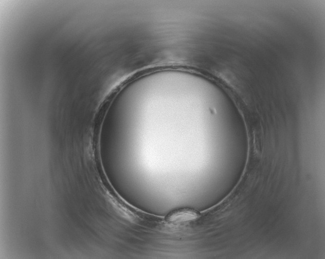 X0000064051452200602031611