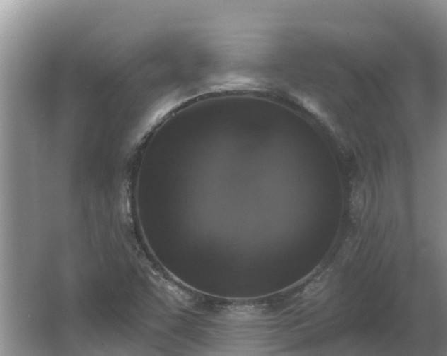 X0000064051455200602031611