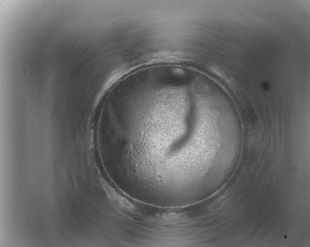 X0000064051459200602031611