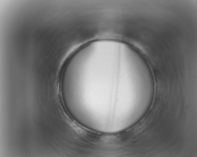 X0000064051462200602031611