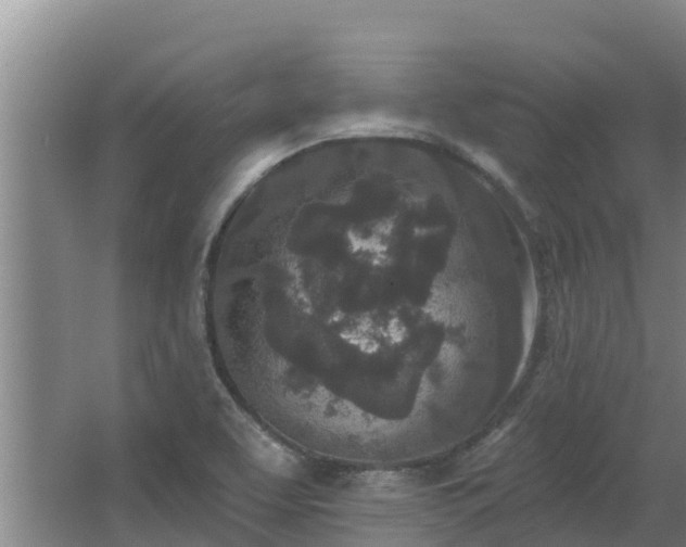 X0000064051463200602031611