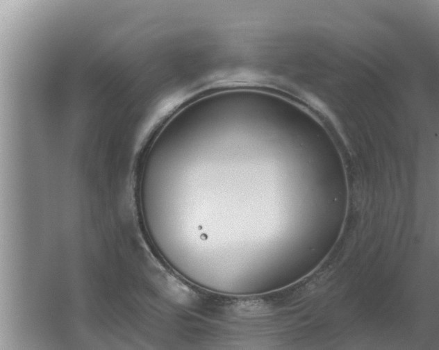 X0000064051464200602031611