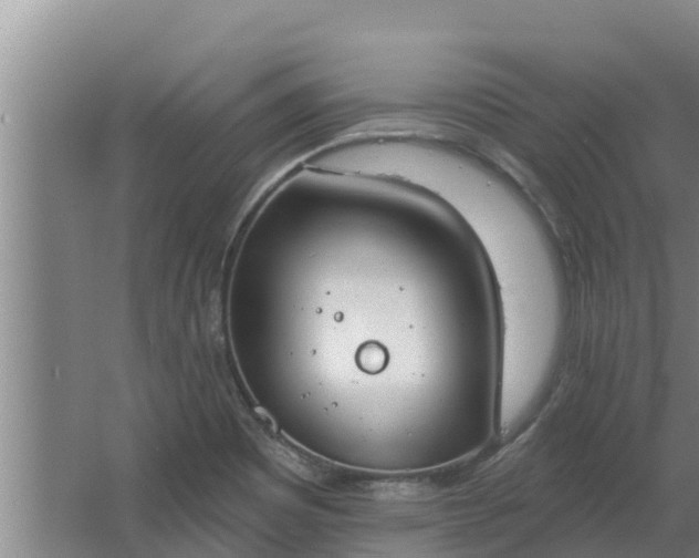 X0000064051465200602031611