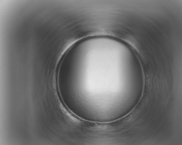 X0000064051468200602031611