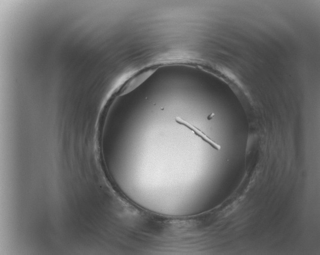 X0000064051469200602031611