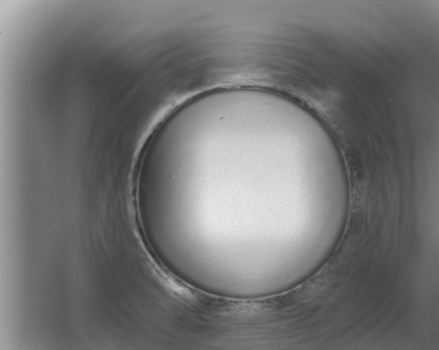 X0000064051470200602031611