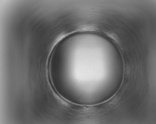 X0000064051471200602031611