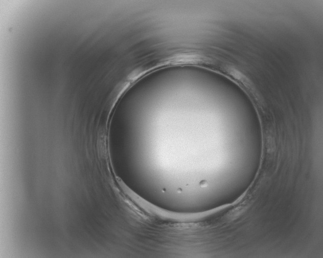 X0000064051473200602031610