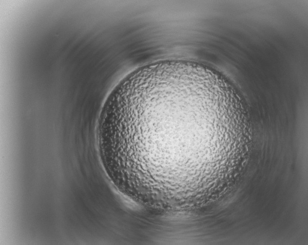 X0000064051474200602031610