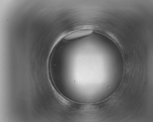 X0000064051475200602031610