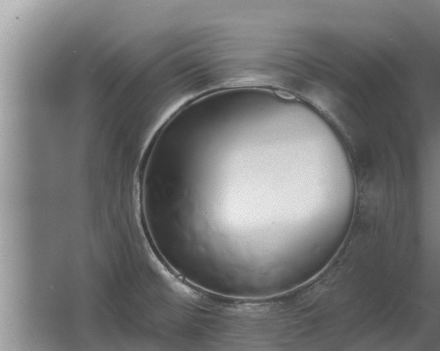 X0000064051476200602031610