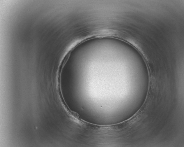 X0000064051477200602031610