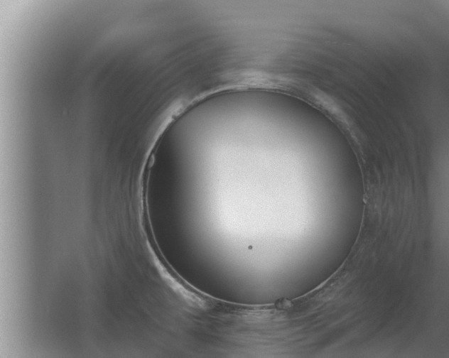 X0000064051479200602031610