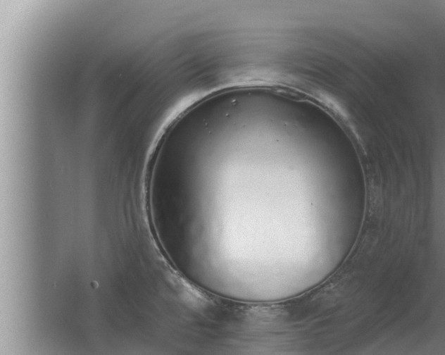 X0000064051480200602031610