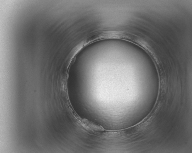 X0000064051481200602031610