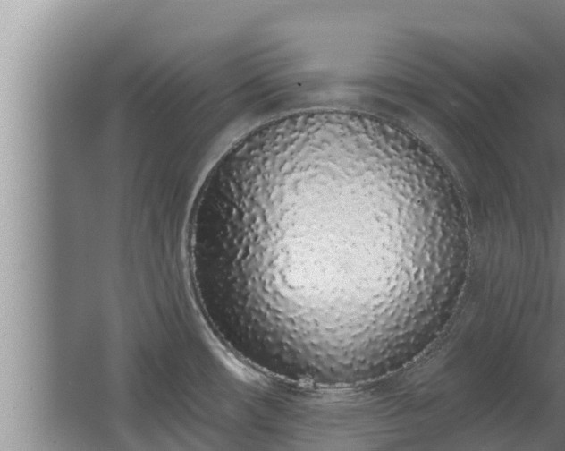 X0000064051482200602031610