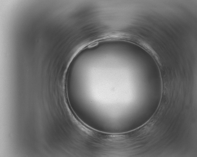 X0000064051483200602031610