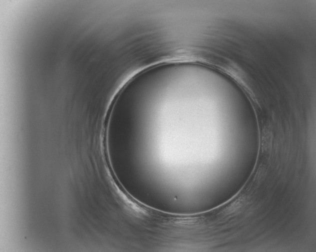 X0000064051484200602031610