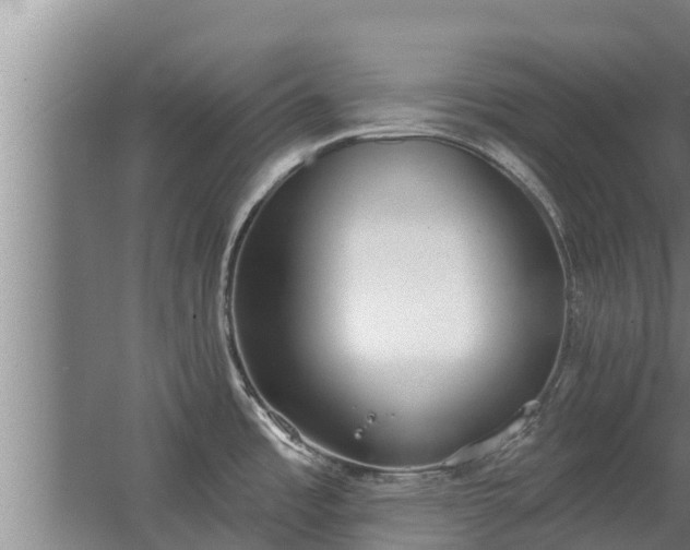 X0000064051485200602031610