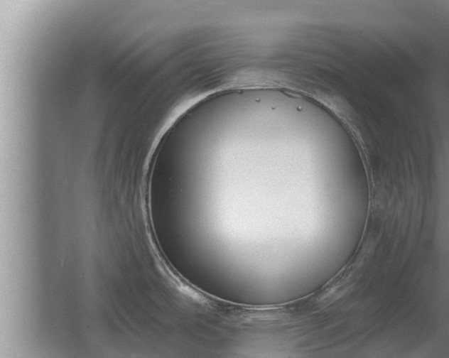 X0000064051486200602031610