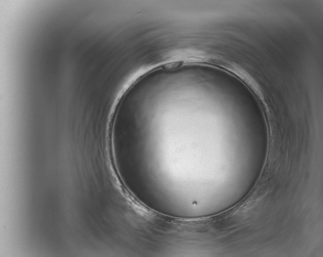 X0000064051488200602031610