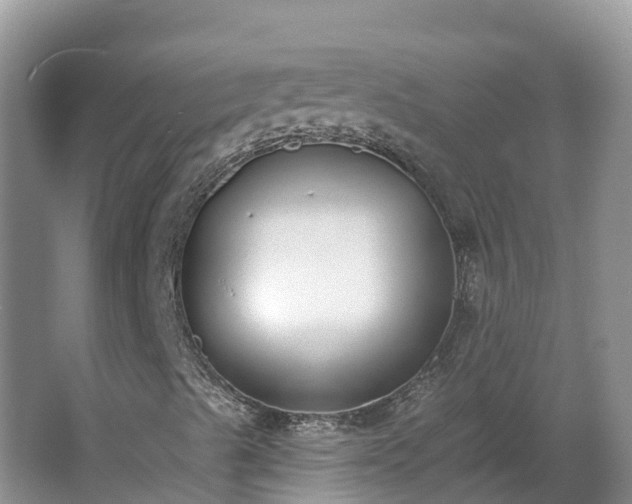 X0000064051489200602031609