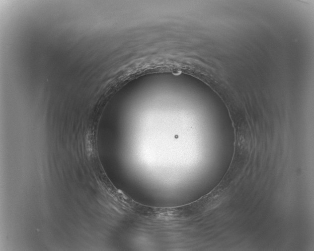 X0000064051490200602031609