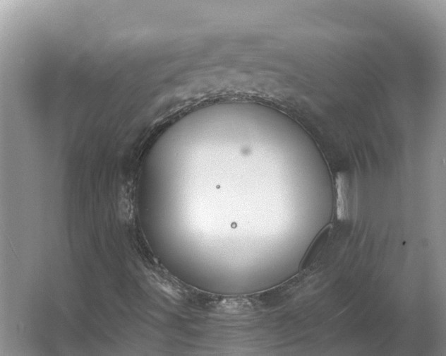 X0000064051491200602031609