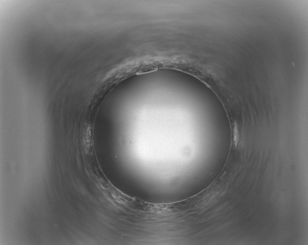 X0000064051492200602031609