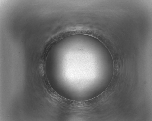 X0000064051493200602031609