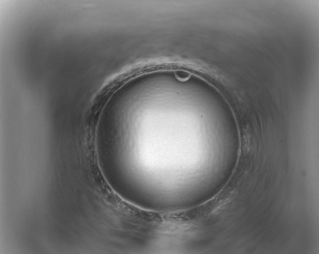 X0000064051494200602031610