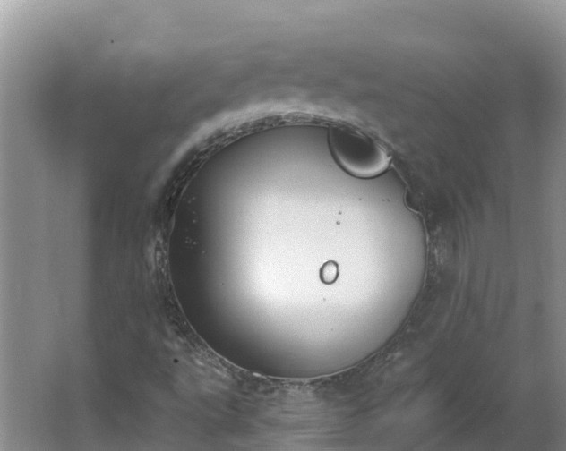 X0000064051495200602031610