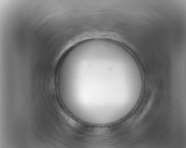 X0000064051498200602031610