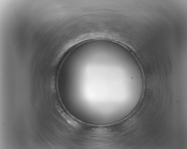 X0000064051499200602031610