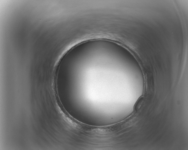 X0000064051500200602031610