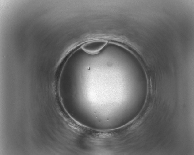 X0000064051501200602031610