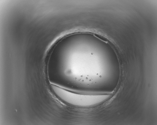 X0000064051502200602031610