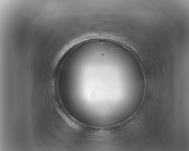 X0000064051503200602031610