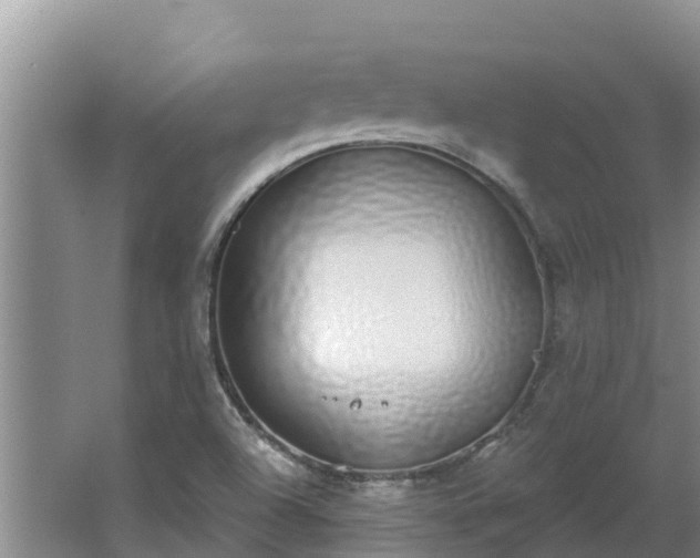 X0000064051504200602031610