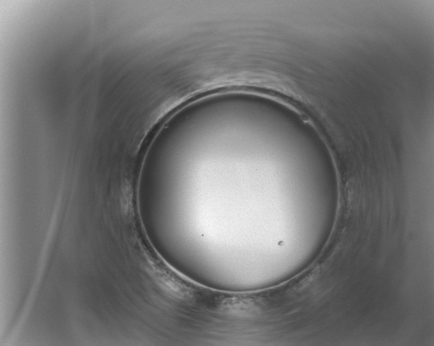 X0000064051505200602031610