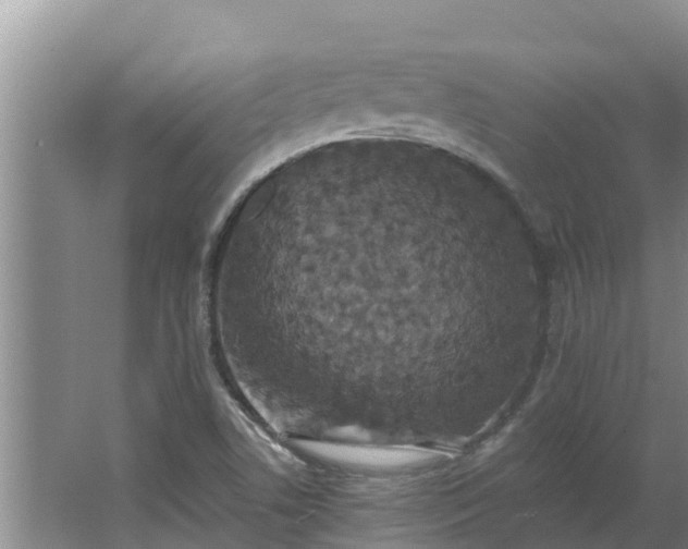 X0000064051506200602031610