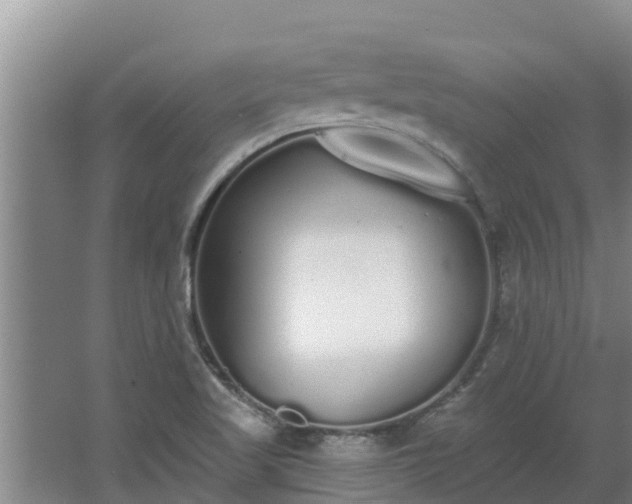 X0000064051509200602031610