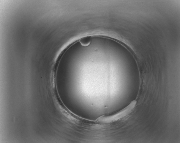 X0000064051510200602031610