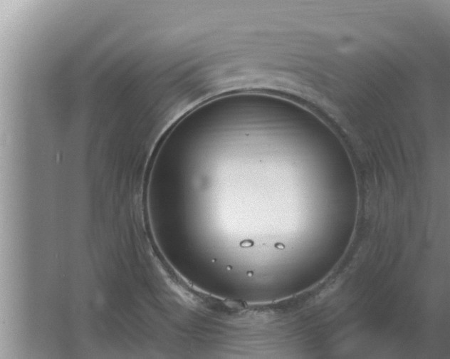 X0000064051513200602031610