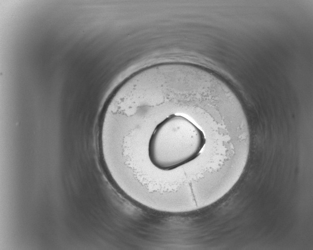 X0000064051514200602031610